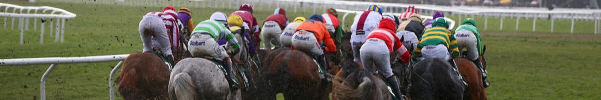 Cheltenham races tips, horse racing