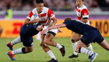 Japan vs South Africa: Brave Blossoms can be competitive
