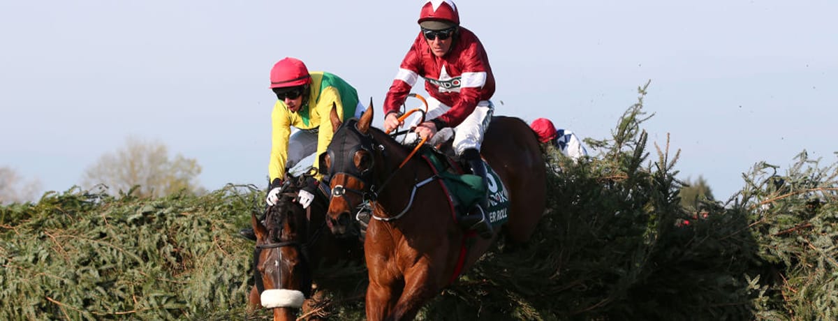 Tiger Roll is favourite among the Grand National runners