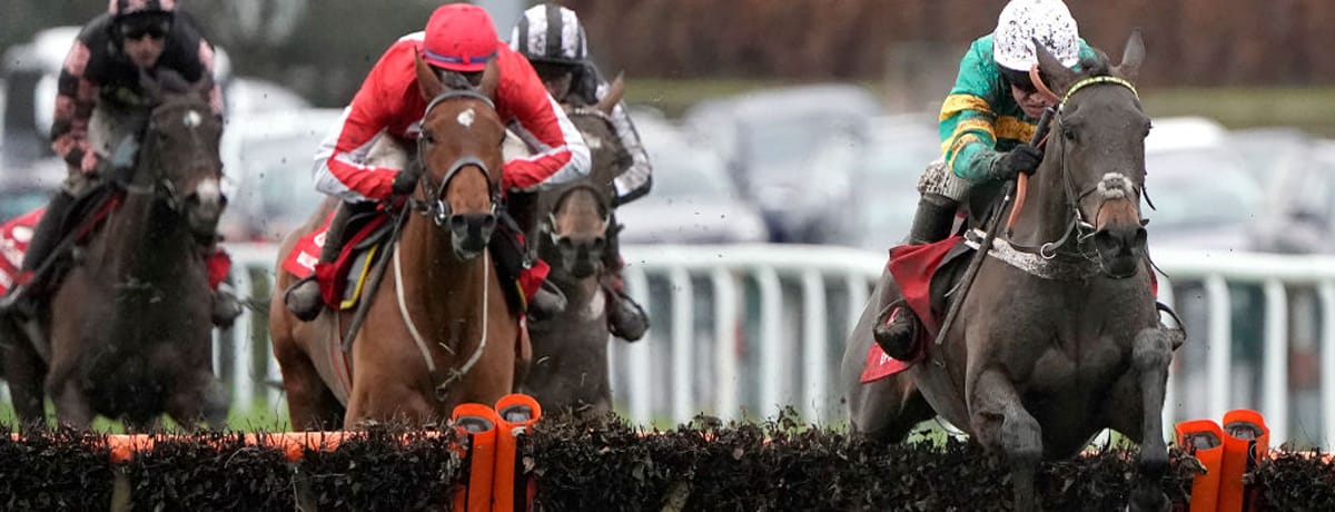 Epatante is favourite among the Champion Hurdle runners