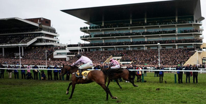 Pentland Hills features in our Cheltenham Festival tips