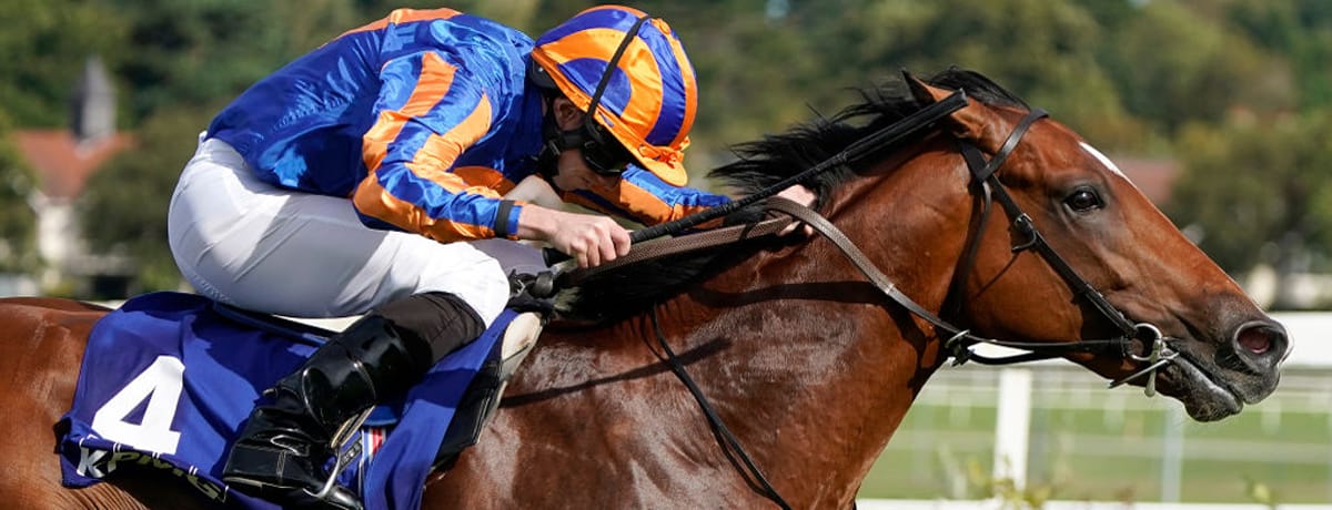 Epsom Derby 2020 tips, horse racing preview, Mogul