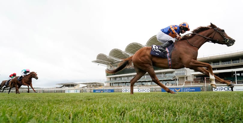 Newmarket Races Breeders' Cup tips, horse racing