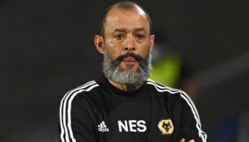 Wolves vs Brighton: Defences on top at Molineux