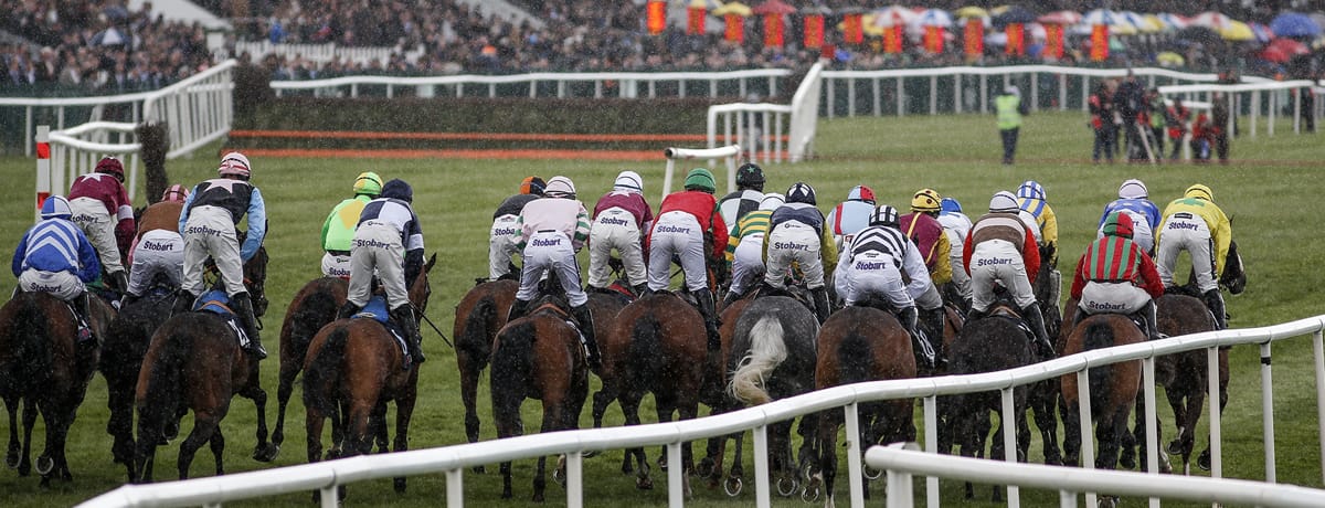Punchestown Festival tips: Eight great Saturday selections