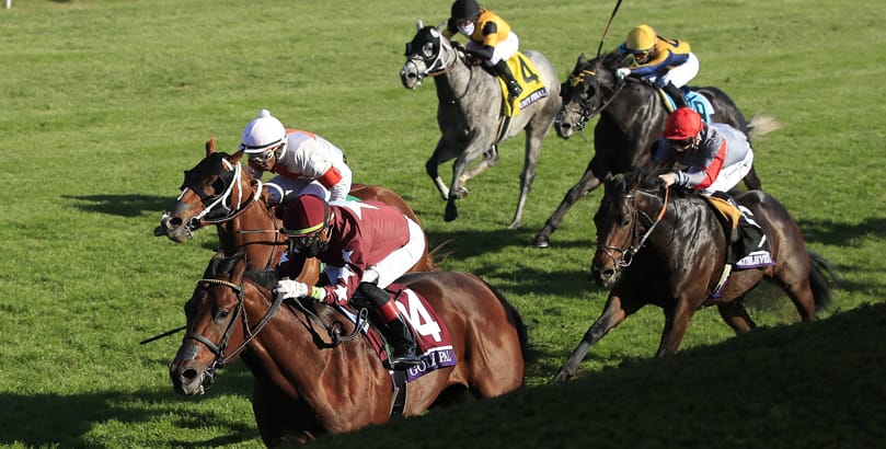 2020 Breeders Cup York races tips, horse racing