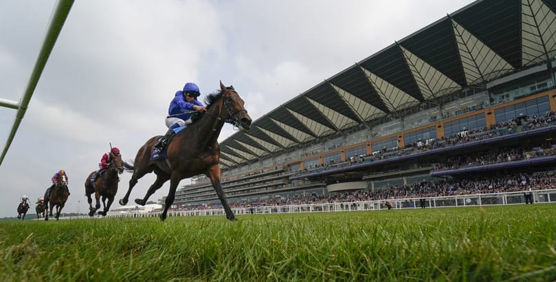 Ascot Races British Champions Day tips, horse racing