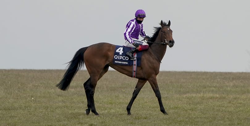 Newmarket Races Breeders' Cup tips, horse racing
