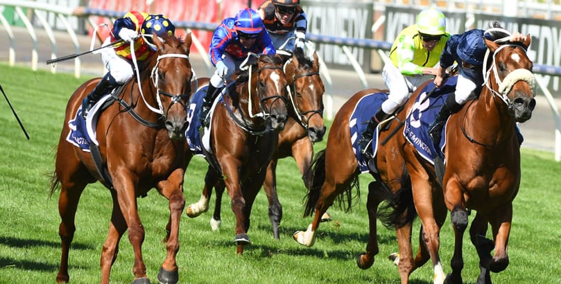 Melbourne Racing Royal Ascot 2022 tips