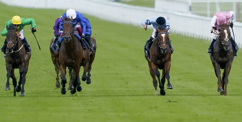 Goodwood Races Irish Derby 2022 runners, Irish Derby 2022 tips, horse racing