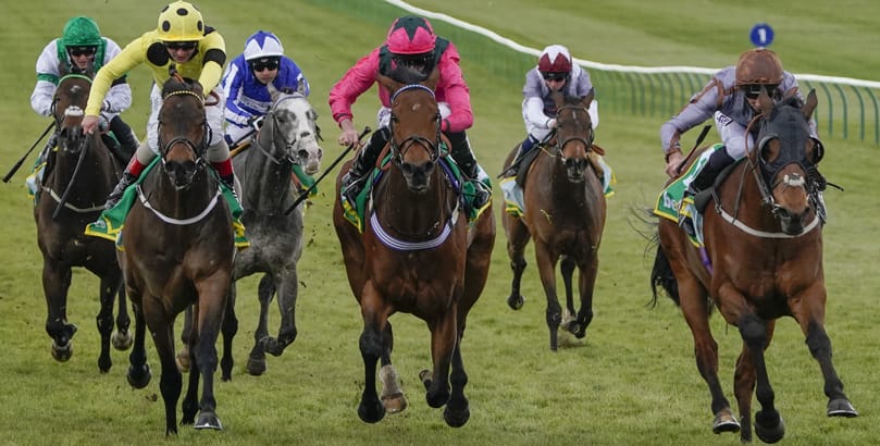 Newmarket Races Glorious Goodwood tips, horse racing