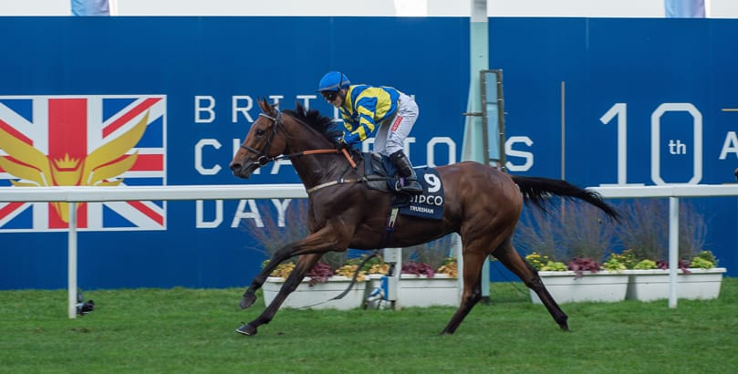 Ascot, Berkshire, UK. 16th October, 2021. Trueshan ridden by jockey Hollie Doyle wins the QIPCO British Champions Long Distance Cup (Class 1) (Group 2) (British Champions Series) in the first race at the QIPCO British Champions Day. Credit: Maureen McLean