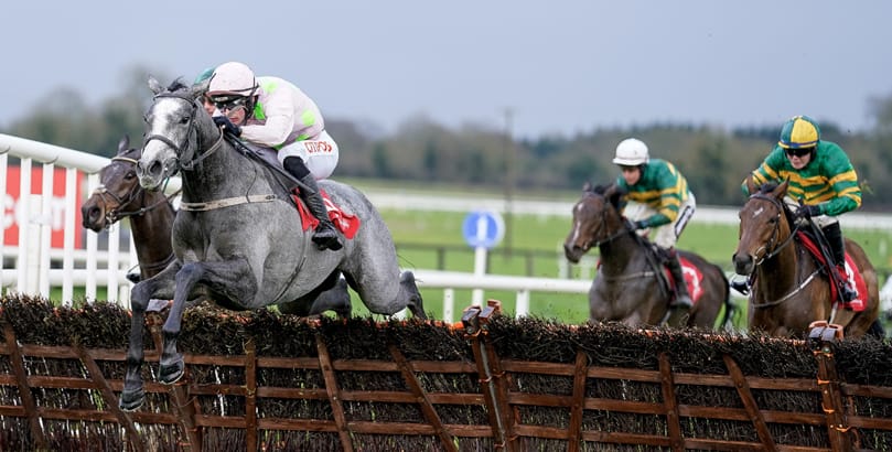 Fairyhouse Races Punchestown Festival tips, horse racing