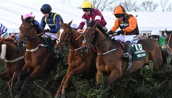 Grand National runners: Pinstickers guide to Aintree field