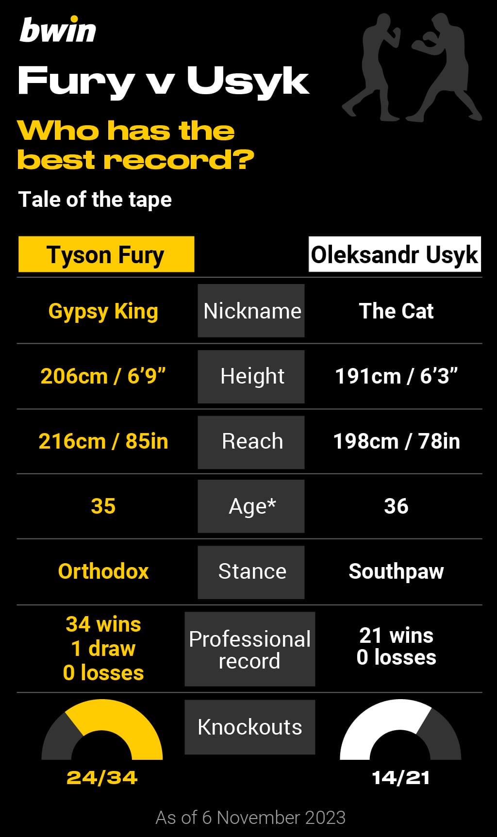 Tyson Fury vs Oleksandr Usyk, boxing